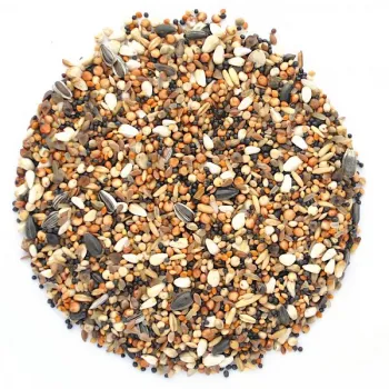 Ełpol Drobne nasiona nasionka oleiste 5 kg